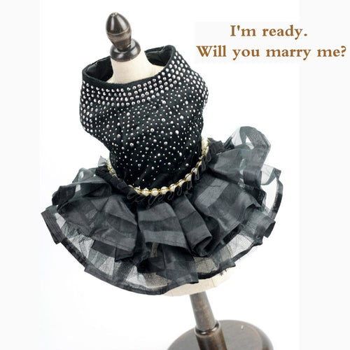 Pet Accessories Fashion party skirt Pet Dog Clothes Dress Sweety Princess Dress Teddy Puppy Wedding Dresses Small Medium Dogs