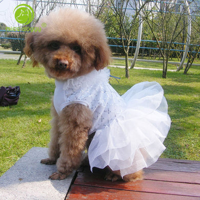 Summer Breathable Dog Dress Puppy Clothes Wedding Princess Skirt Pink Luxury Puppy Cat Sequin Dresses for Small Dog Teddy Spring
